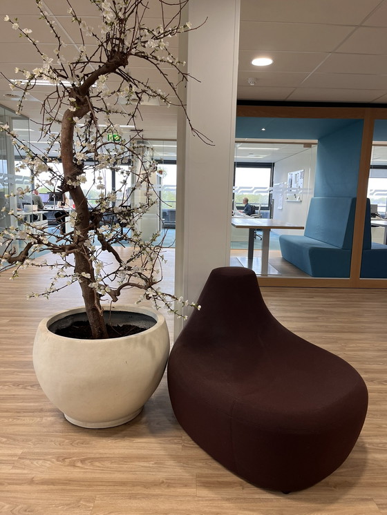 Image 1 of Moroso Saruyama Insel