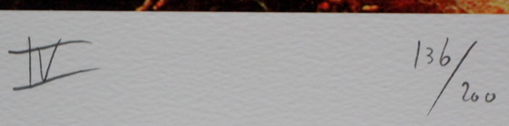 Image 1 of Rob Scholte - 4 Siebdrucke: Après nous le déluge - 2010