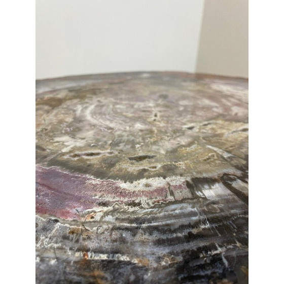 Image 1 of Mid-Century Couchtisch aus versteinertem Holz, Belgien 1970er