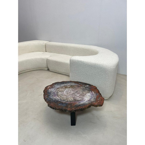 Image 1 of Mid-Century Couchtisch aus versteinertem Holz, Belgien 1970er