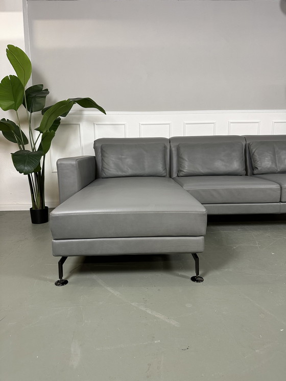 Image 1 of Brühl Moule Ecksofa Designer Sofa Couch Oliva Leder