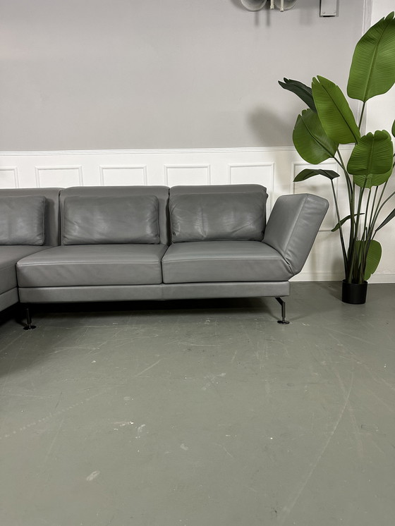 Image 1 of Brühl Moule Ecksofa Designer Sofa Couch Oliva Leder