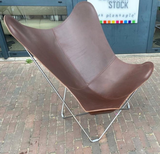 Image 1 of Schmetterlingsleder Pampa Vlinderstoel