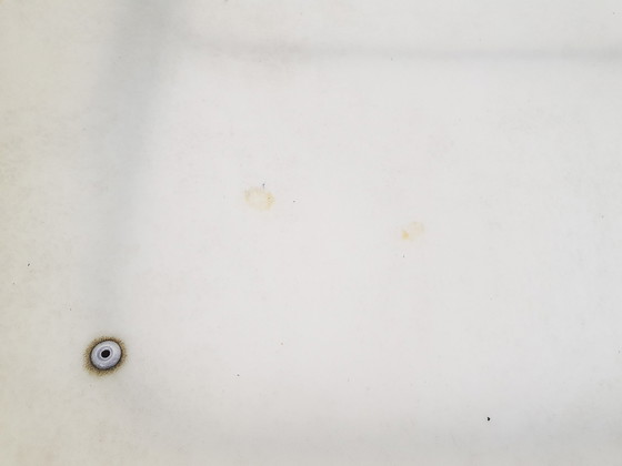 Image 1 of Set mit 2 Pierre Guariche für Meurop 'Shell' Esszimmerstühlen, Frankreich 1950er Jahre