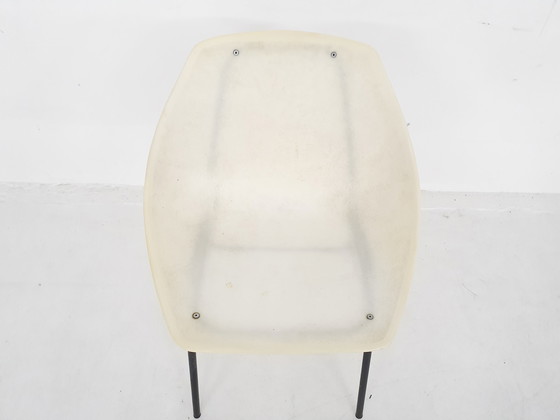 Image 1 of Set mit 2 Pierre Guariche für Meurop 'Shell' Esszimmerstühlen, Frankreich 1950er Jahre