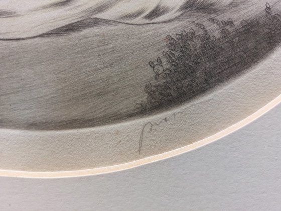 Image 1 of Art-Deco-Farbradierungen. Mit dem Titel "Mädchen mit rotem Papagei".