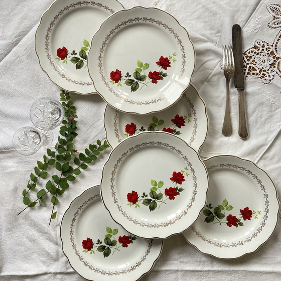 Image 1 of Lot Von 6 Flachen Tellern Steingut Ehemalige Manufacture Française De Sarreguemines