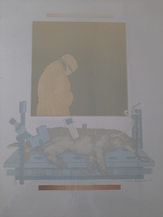 Image 1 of Pieter Sonnemans – Vivisektion