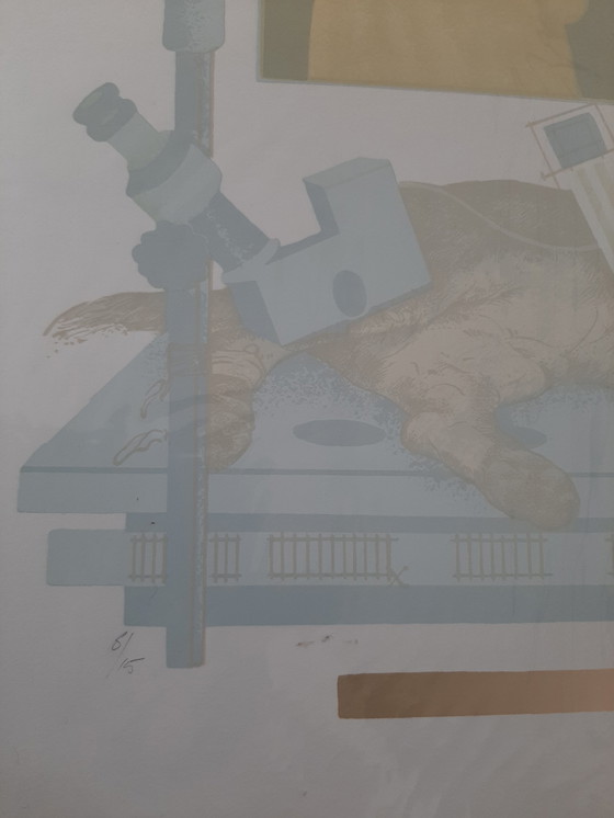 Image 1 of Pieter Sonnemans – Vivisektion