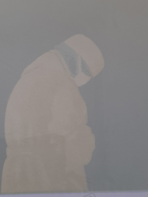 Image 1 of Pieter Sonnemans – Vivisektion