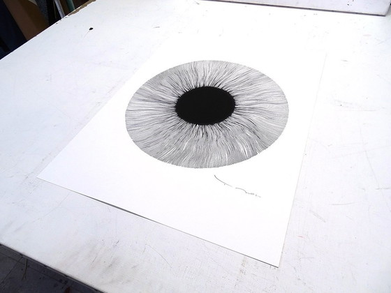 Image 1 of Tehos - Schwarzes Auge 2024 - 05