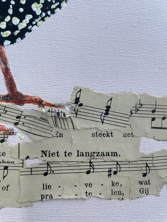 Image 1 of Porträt des jungen Starlings