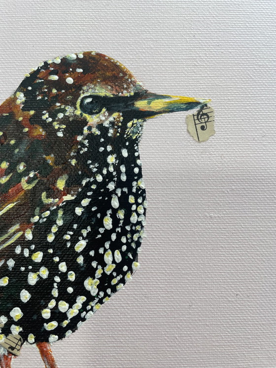 Image 1 of Porträt des jungen Starlings