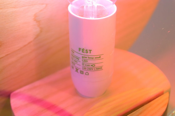 Image 1 of Fest S Geist strahlende Tischlampe