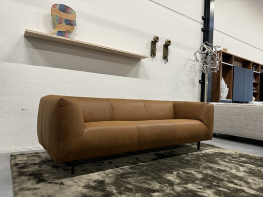 Label Vandenberg Moby Dick Sofa 3 Sitzer Leder