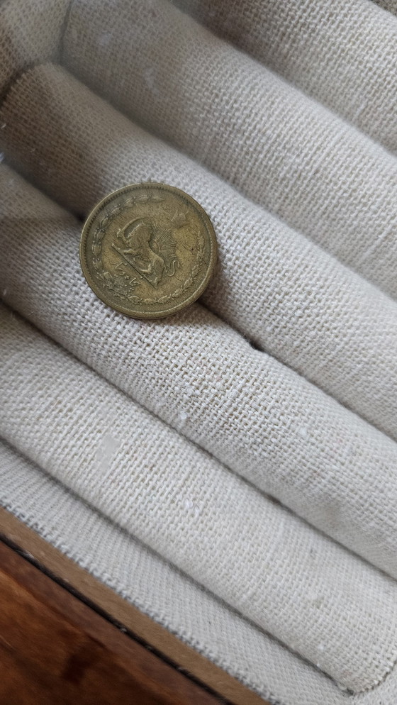 Image 1 of 100 Jahre alte Löwen- und Sonnenmünze