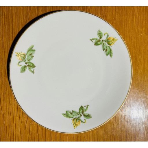 Satz von 36 Tellern von Théodore Haviland für Porcelaine de Paris, 1960