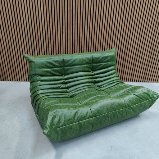 Ligne Roset Togo Grünes Leder Zweisitzer