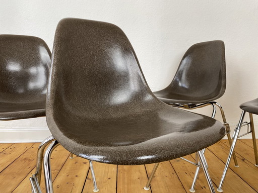 4X Herman Miller Vitra Dss Fiberglas Stühle Von Charles & Ray Eames In Seal Brown