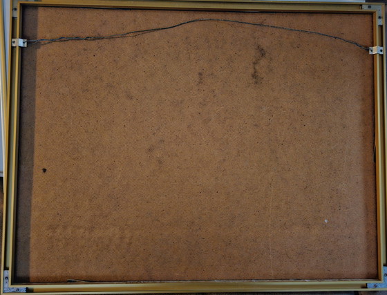 Image 1 of Herman van Valen – Pionier