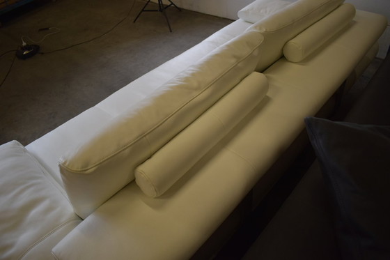 Image 1 of Ledersofa Dsign Mit Möbelgütesiegel Ledercouch Sofa Couch 