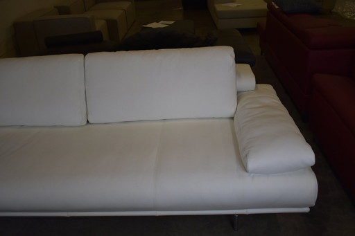 Ledersofa Dsign Mit Möbelgütesiegel Ledercouch Sofa Couch 