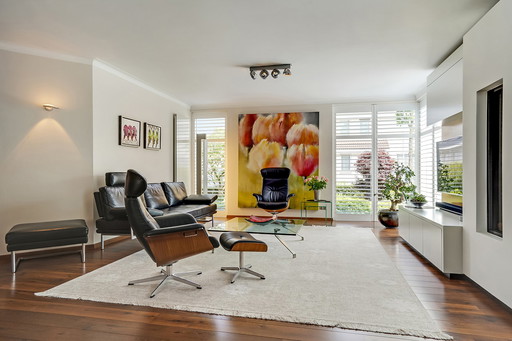 Limited Edition - Teppich Elixer Pearl 300 x 360