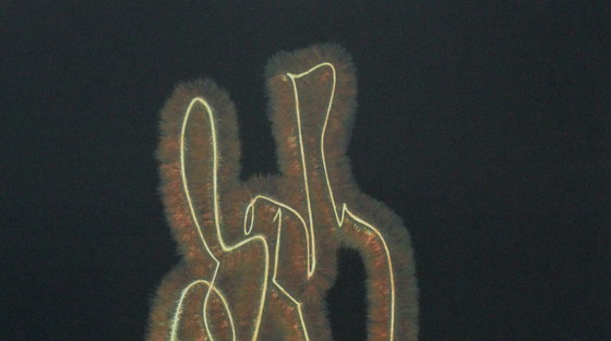 Image 1 of Rob Scholte - Mis en Bouteille in nos Caves