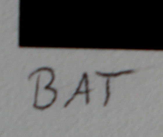 Image 1 of Armando - Giclée: Die Blume verrottet