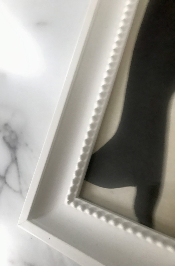 Image 1 of Tierillustration Pinguine gerahmt