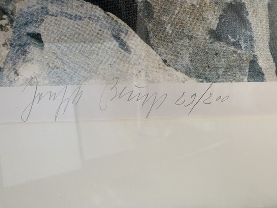 Image 1 of Joseph Beuys - 7000 Eichen