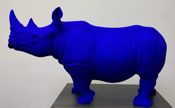 Image 1 of Rhino-Acrylhars