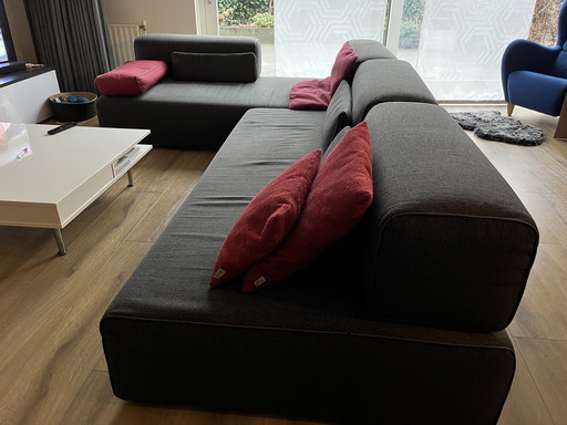 Leolux Ponton Sofa Grau