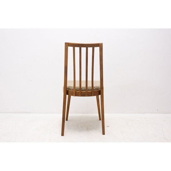 Image 1 of Satz von 4 Esszimmerstühlen aus Buchenholz, Mid Century, Tschechoslowakei 1960er Jahre