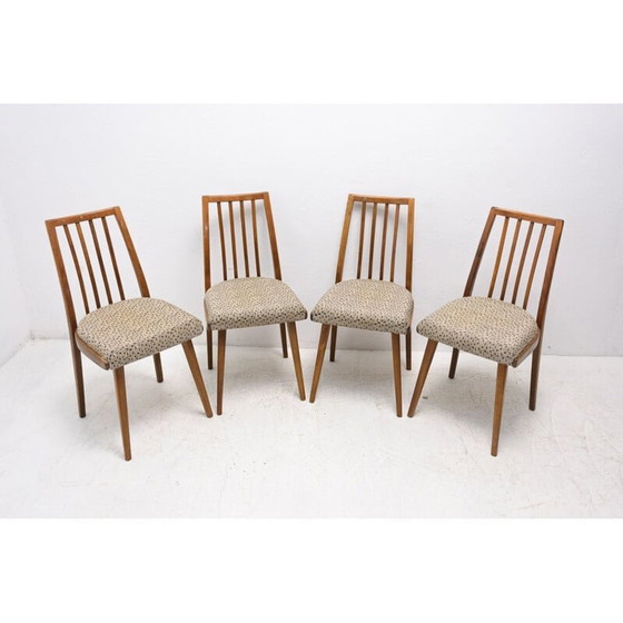 Image 1 of Satz von 4 Esszimmerstühlen aus Buchenholz, Mid Century, Tschechoslowakei 1960er Jahre