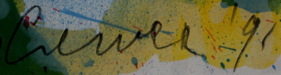 Image 1 of Jan Cremer – Gerahmte Farblithographie: Tulpen – 1991 (Schöner Rahmen!)