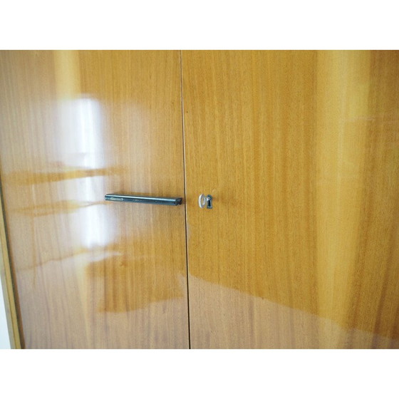 Image 1 of Vintage-Möbel von František Mezulánik, Tschechoslowakei 1960