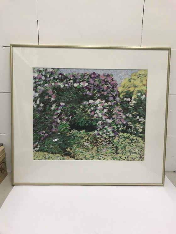 Image 1 of Rhododendron '08