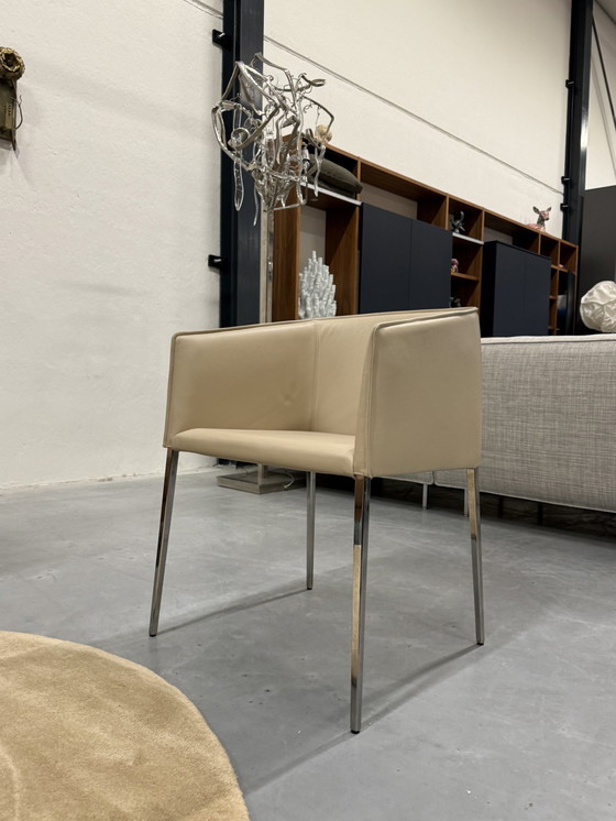 Image 1 of Jori Tulip Esszimmerstuhl Leder