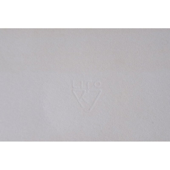 Image 1 of Farblithografie auf Van Gelder Zonen Papier von Jörgen Fogelqvist, Schweden 1980