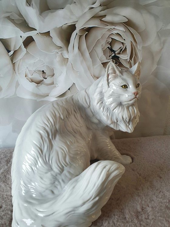Image 1 of Ronzan Katze Xxl