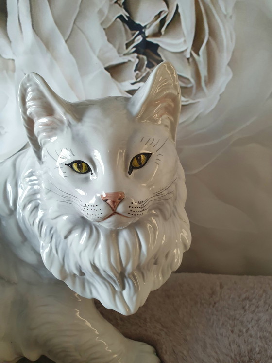 Image 1 of Ronzan Katze Xxl
