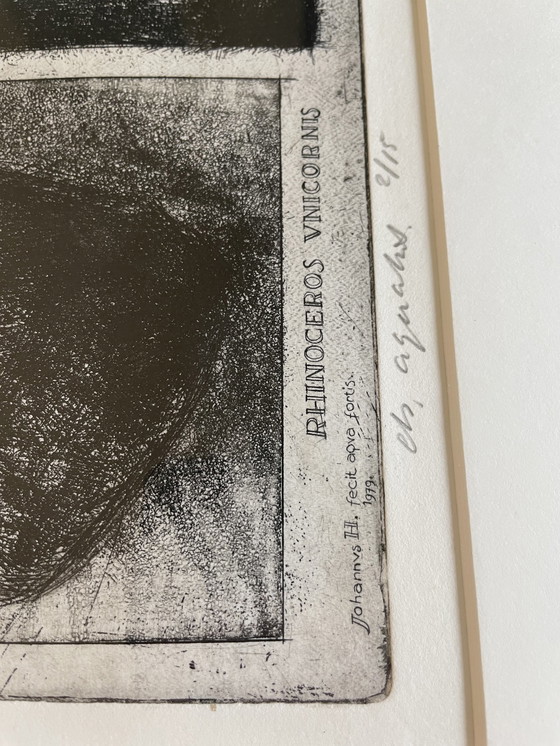 Image 1 of Radierung Rhinoceros Unicornis - Jan Hurx