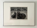 Radierung Rhinoceros Unicornis - Jan Hurx