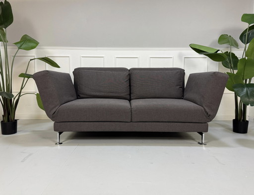 Brühl Moule Sofa Schlafsofa Designer Ausstellungsstück