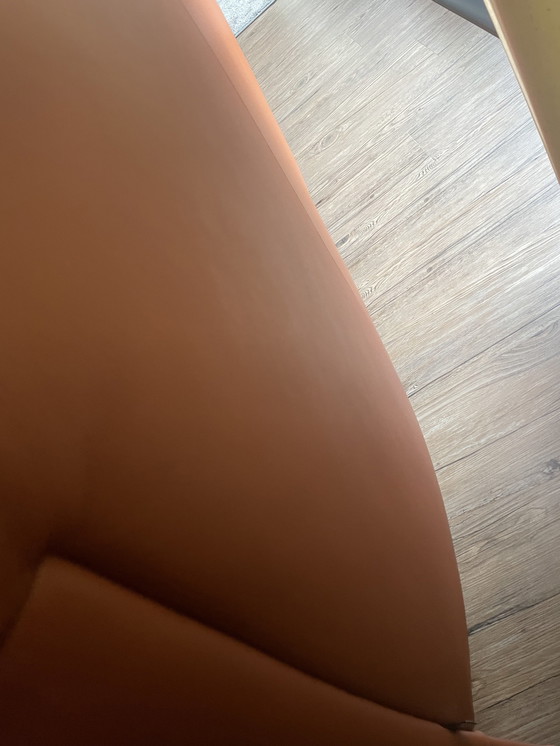 Image 1 of Jori Jr-4650 Sofa 226/3 Niedrig Pinto Farbe Havanna