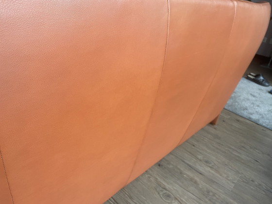 Image 1 of Jori Jr-4650 Sofa 226/3 Niedrig Pinto Farbe Havanna