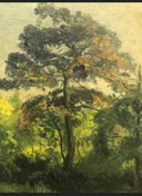 Der Baum im Wald - Paul Schultze