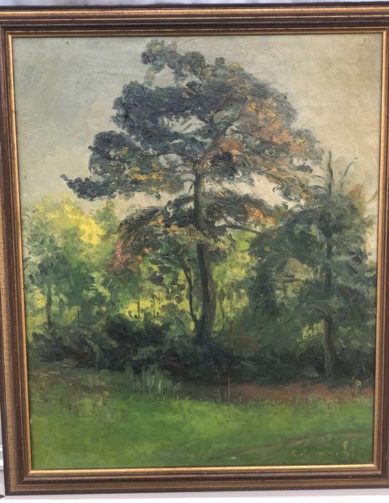 Image 1 of Der Baum im Wald - Paul Schultze