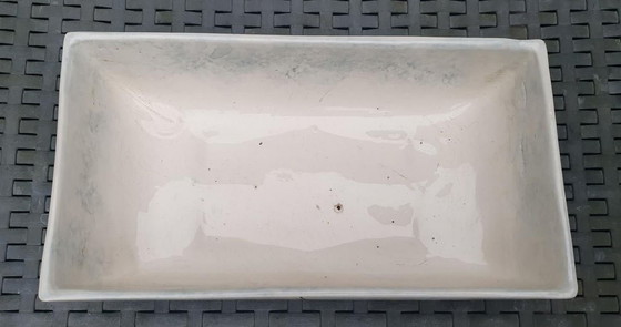 Image 1 of Vintage Kaktus Container Pflanzer und Blumentopf